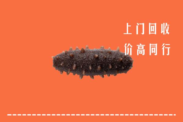 高价求购：南充高坪回收海参