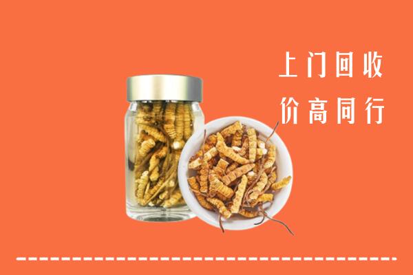 南充高坪回收冬虫夏草