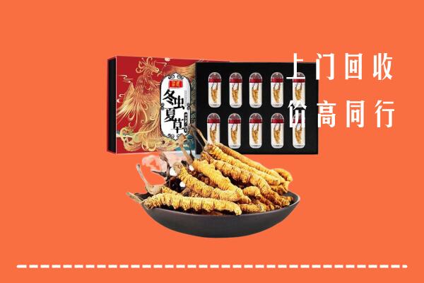 南充高坪回收虫草